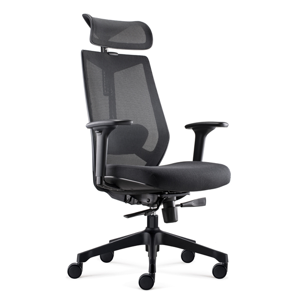 Ignite Ergonomic Task chair with Headrest-D00253H-BB