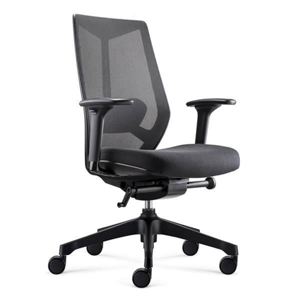 Ignite Ergonomic Task chair -D00253M-BB