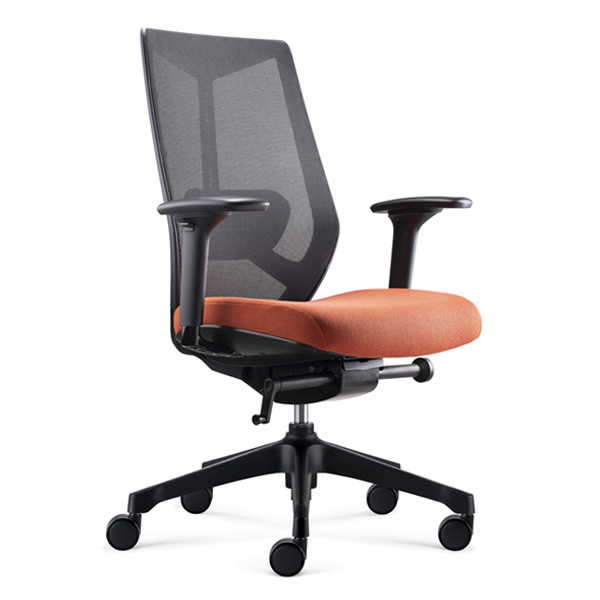 Ignite Ergonomic Task chair -D00253M-O