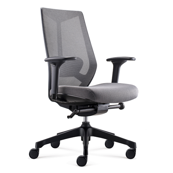 Ignite Ergonomic Task chair -D00253M-GG